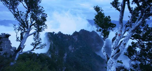 沁阳神农山