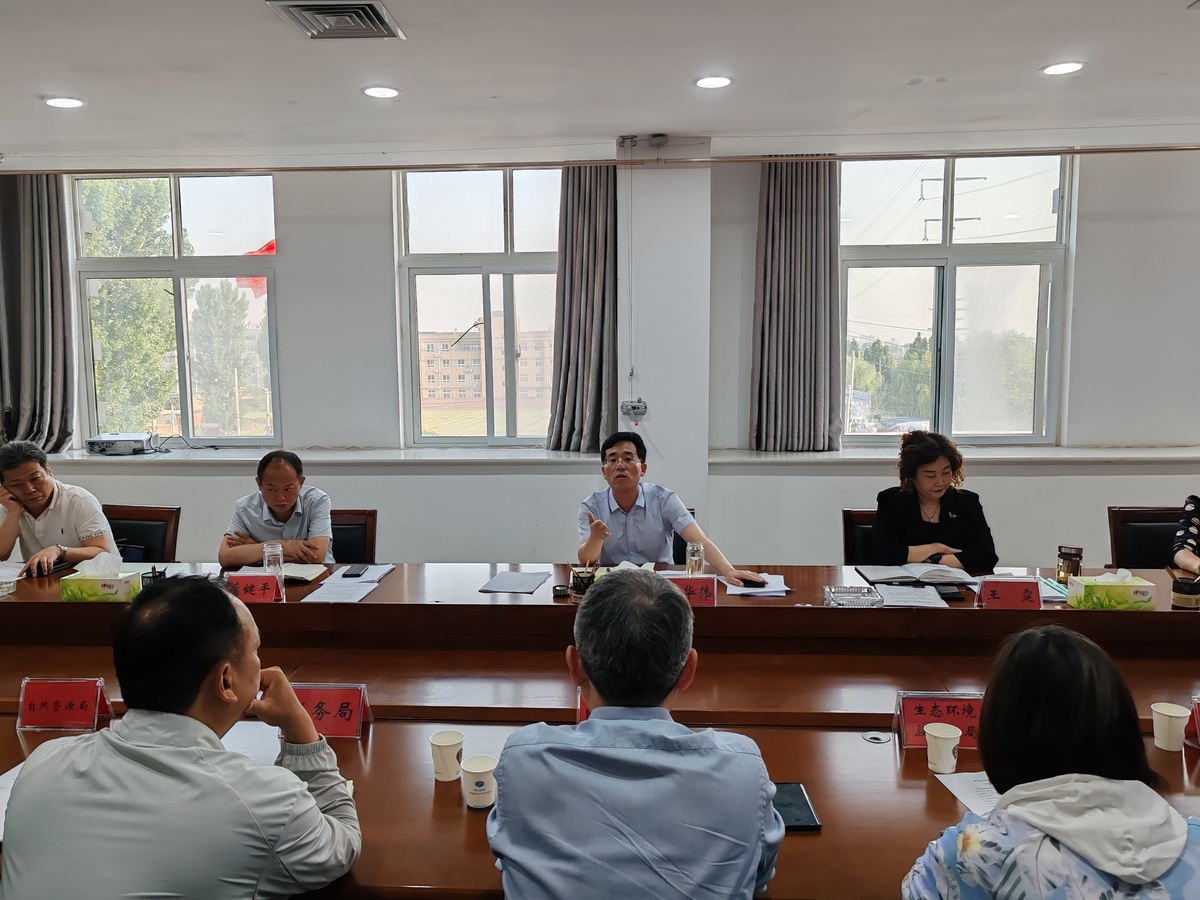 殷都区召开项目建设推进会
