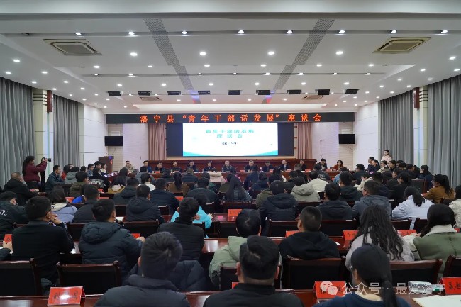 洛宁县召开“青年干部话发展”座谈会