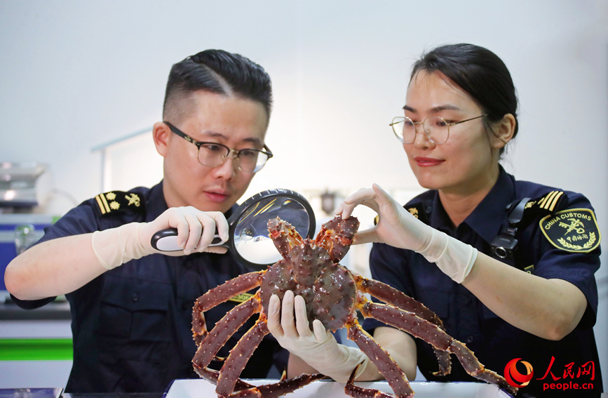 行进中国｜全球美味“飞”上中国餐桌