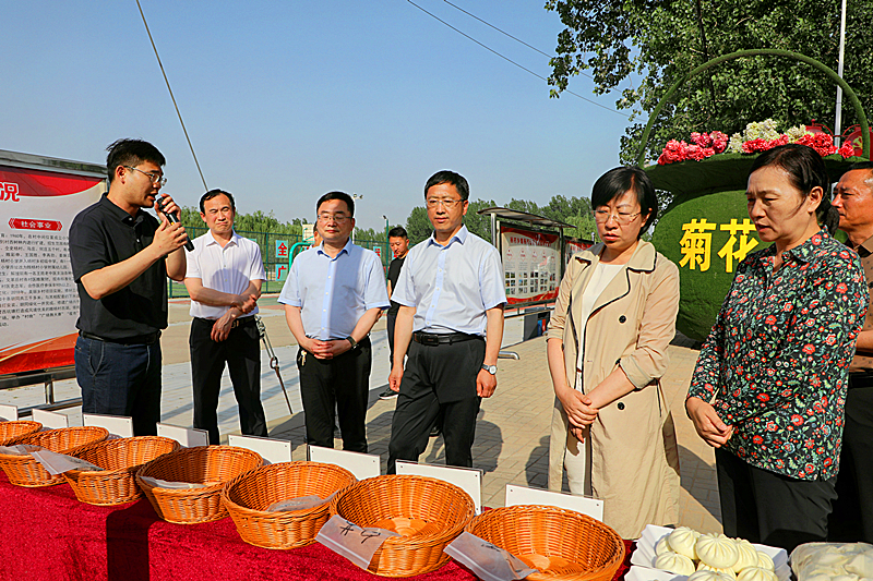 观摩评比提质效  加压奋进创“五星”——南乐县召开抓党建促乡村振兴暨“五星”支部创建工作推进会