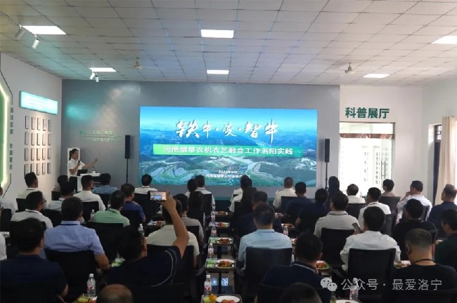 黄淮北方平原作业区农机农艺融合现场观摩会在洛宁县召开