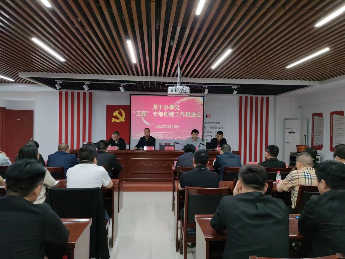 龙王办事处召开“五星”支部创建工作推进会