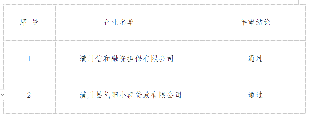 潢川县金融服务中心关于抽查通过2021-2023年度年审融资担保公司、小额贷款名单的公示