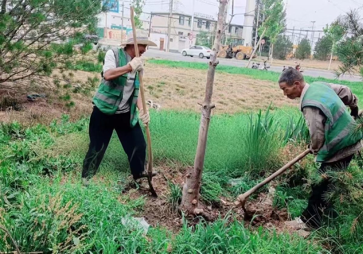 区城市管理局聚焦汛期安全 扎实做好防汛备汛