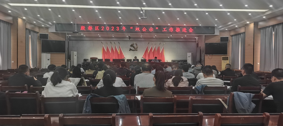 殷都区2023年“双公示”工作推进会