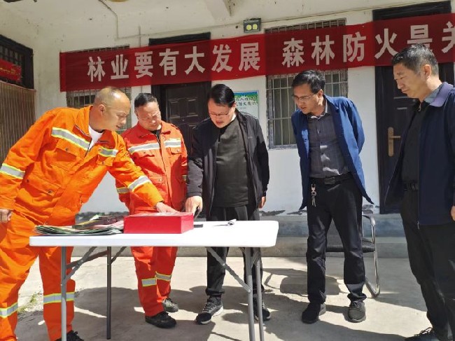 市林业局到洛宁县督导森林防火工作