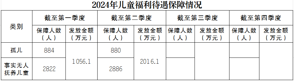 2024年度儿童福利保障情况