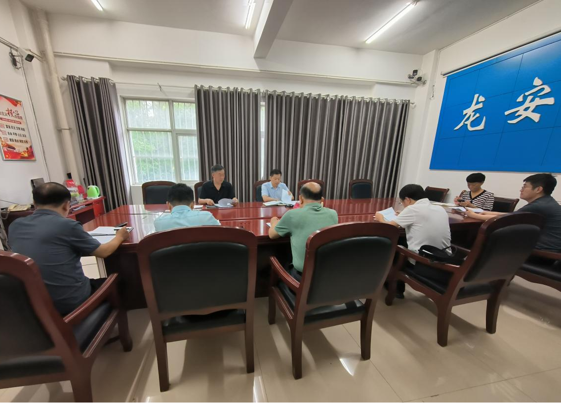 龙安区召开审计整改工作会