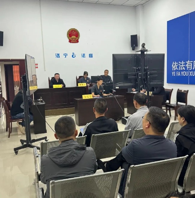 　洛宁县开展2024年行政诉讼庭审旁听活动