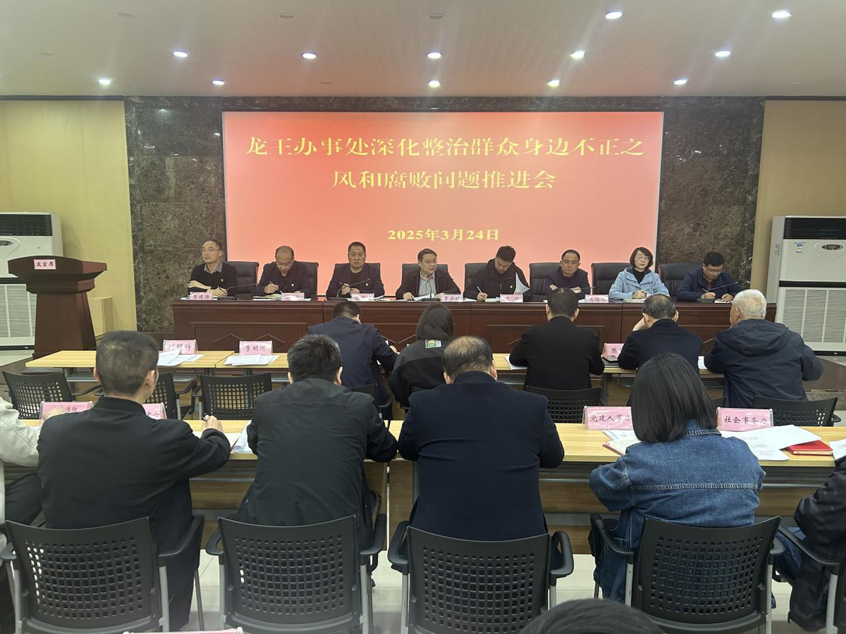 龙王办事处召开深化整治群众身边不正之风 和腐败问题推进会