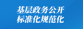 基层政务公开标准化规范化