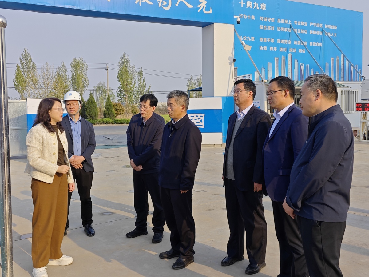 全力推进项目建设提速提质提效
