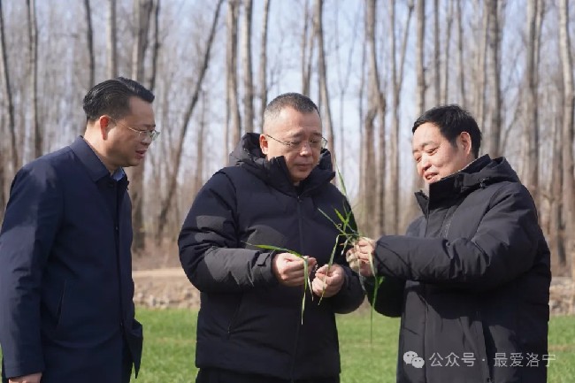 王瑞督导调研安全稳定、冬季农业生产等工作