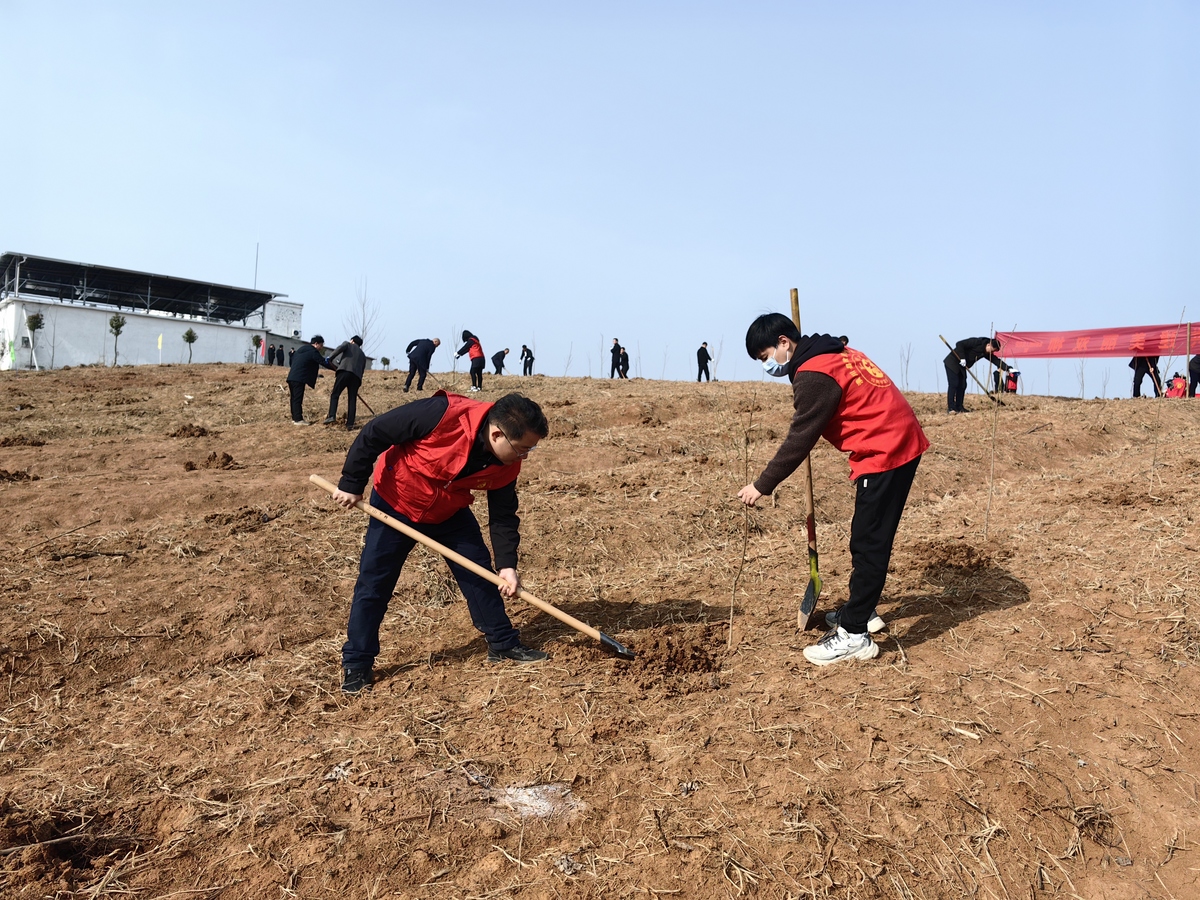 潢川县人民政府办公室开展义务植树活动