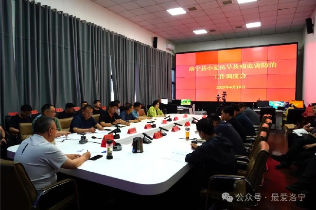 洛宁县召开小麦抗旱及病虫害防治工作调度会