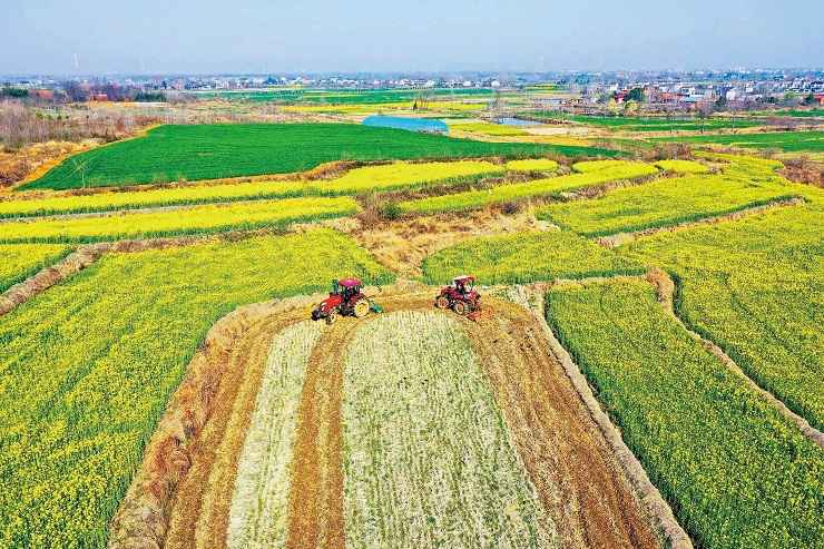 光山县春分时节抢抓农时