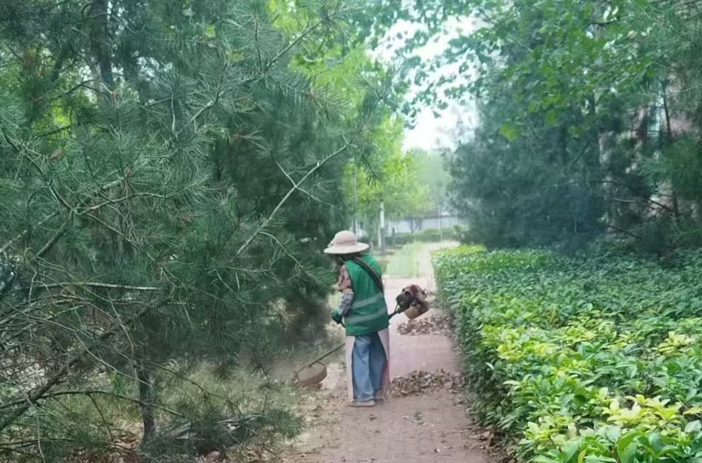 区城市管理局聚焦汛期安全 扎实做好防汛备汛
