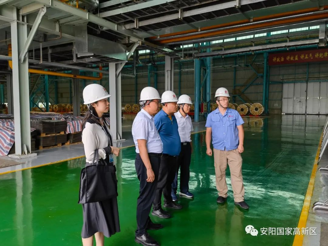 广东省华商经济发展研究院到安阳高新区考察调研