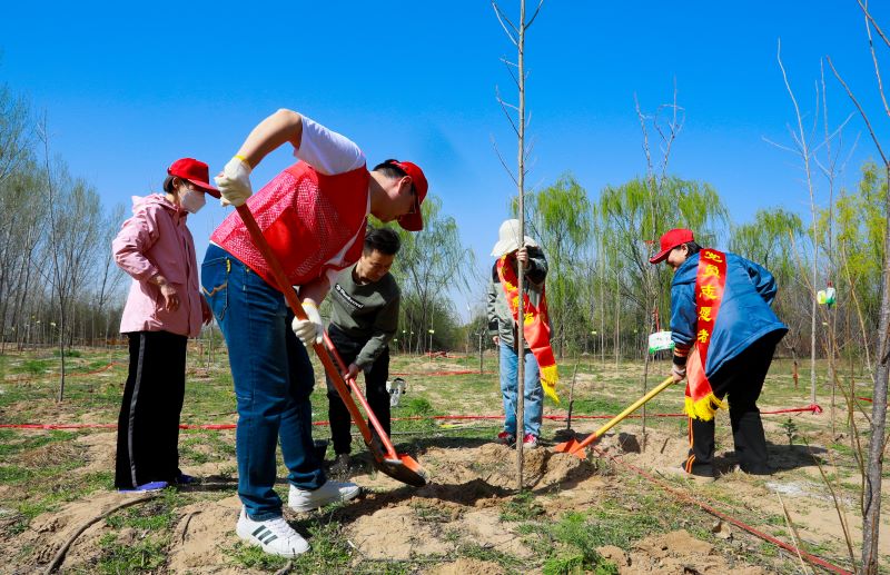 郑州航空港区第一税务分局组织开展义务植树活动
