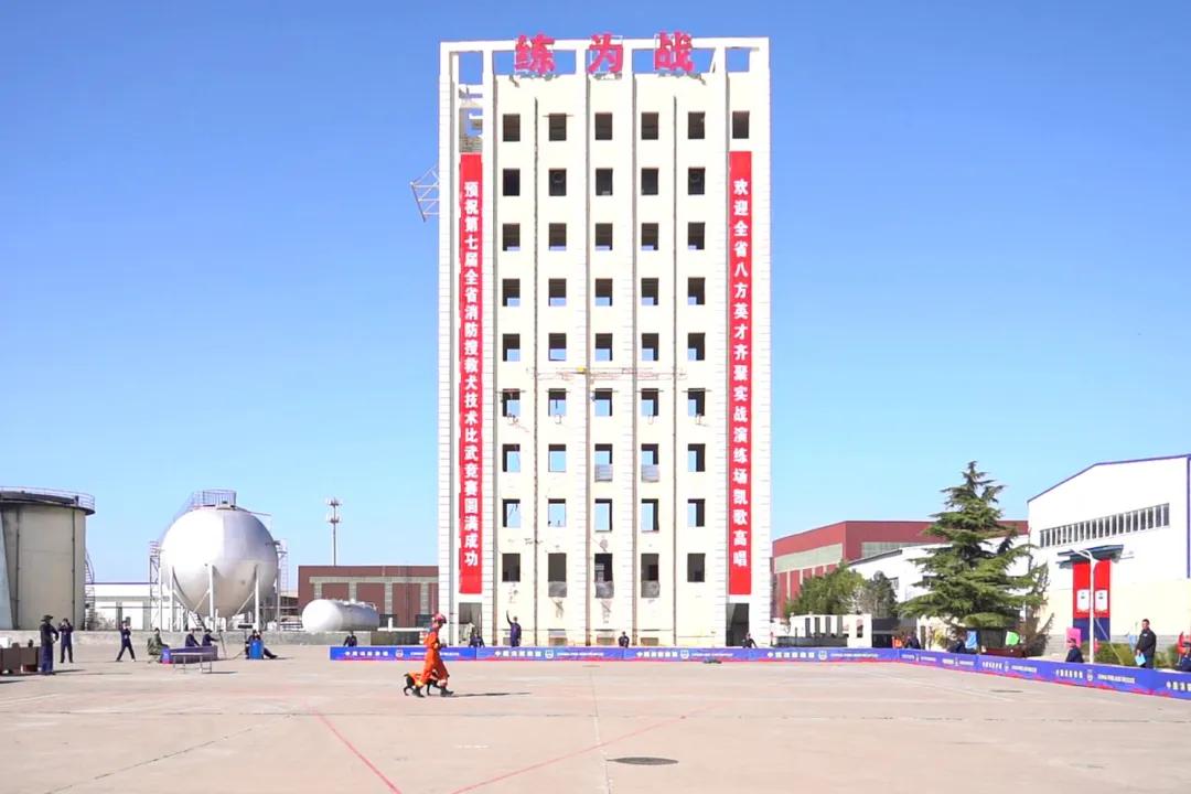 全省消防搜救犬比武竞赛在洛阳举行