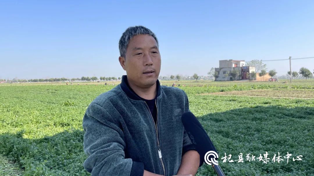 高阳镇陈庄村创建“产业兴旺星” 铺就农民“幸福路” 高阳镇陈庄村创建“产业兴旺星” 铺就农民“幸福路”
