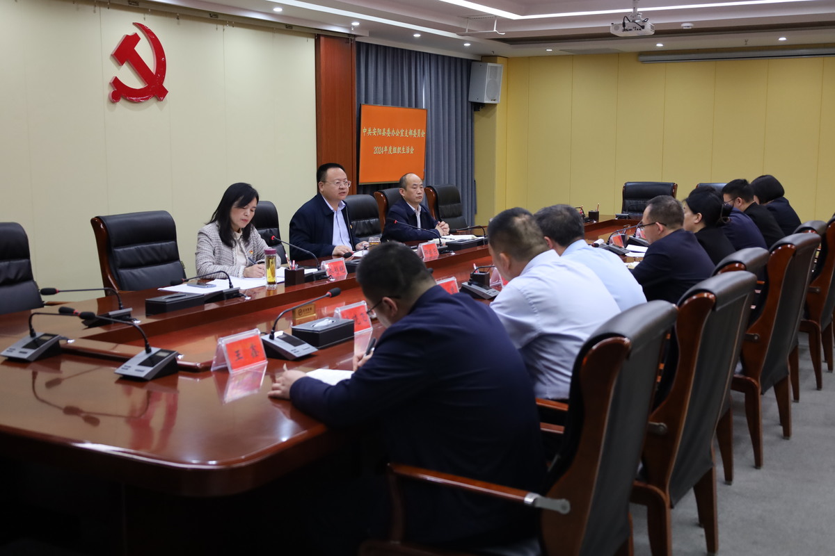 安阳县委书记、示范区党工委书记邢振东以普通党员身份参加组织生活会