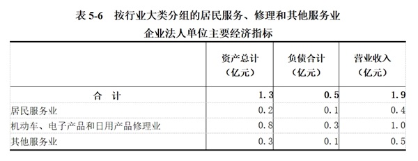 龙安区第五次全国经济普查公报（第五号）——第三产业基本情况之二
