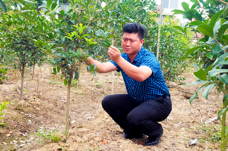 潢川县方正种植专业合作社理事长胡星做客政府网