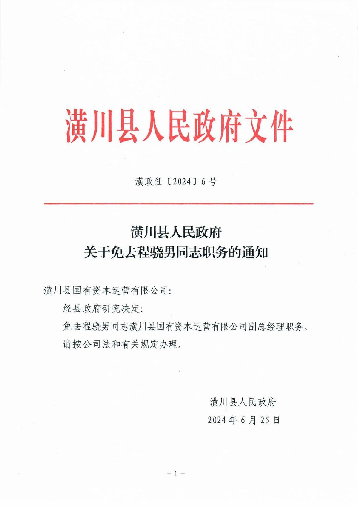 潢政任〔2024〕6号潢川县人民政府关于免去程骁男同志职务的通知