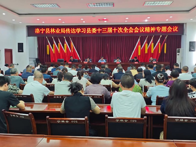 县林业局传达学习县委十三届十次全会会议精神