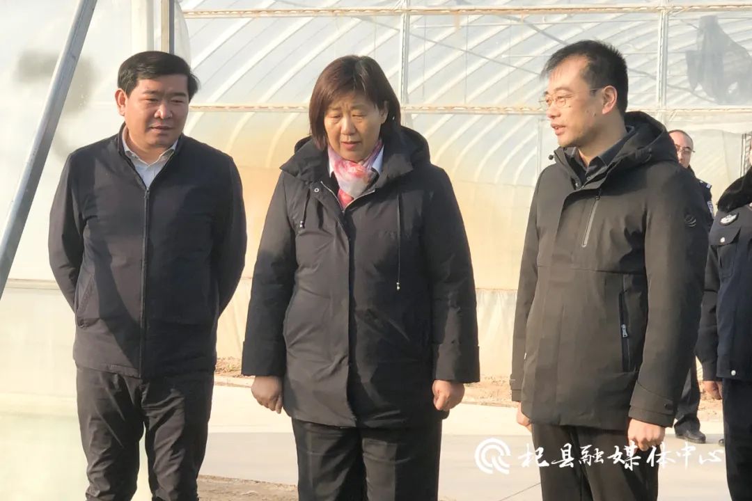 首页>新闻动态>杞县要闻>当天,邢卫胜一行先后来到沙沃乡杨寨村蔬菜