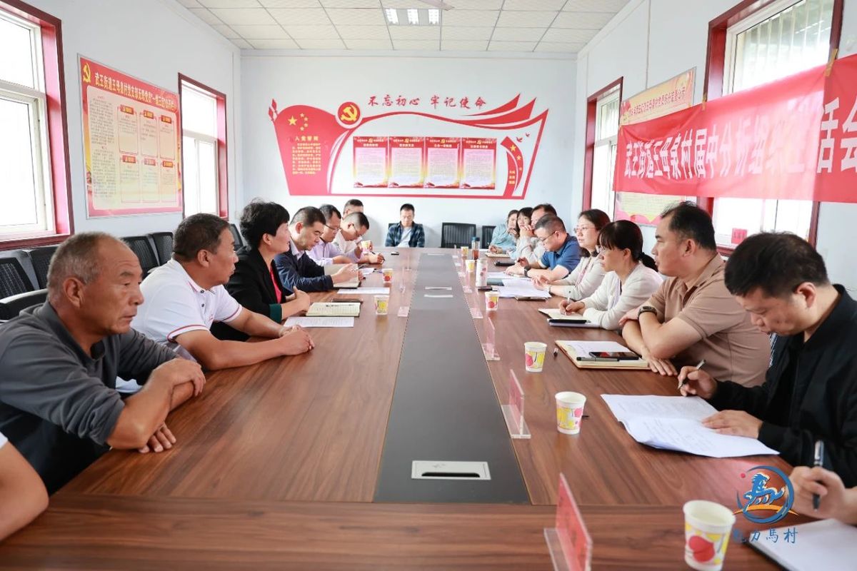 王婕调研武王街道王母泉村“双百双争”行动工作！