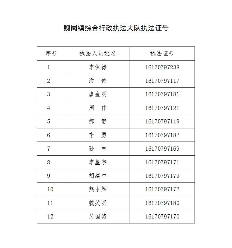 魏岗镇综合行政执法大队执法人员