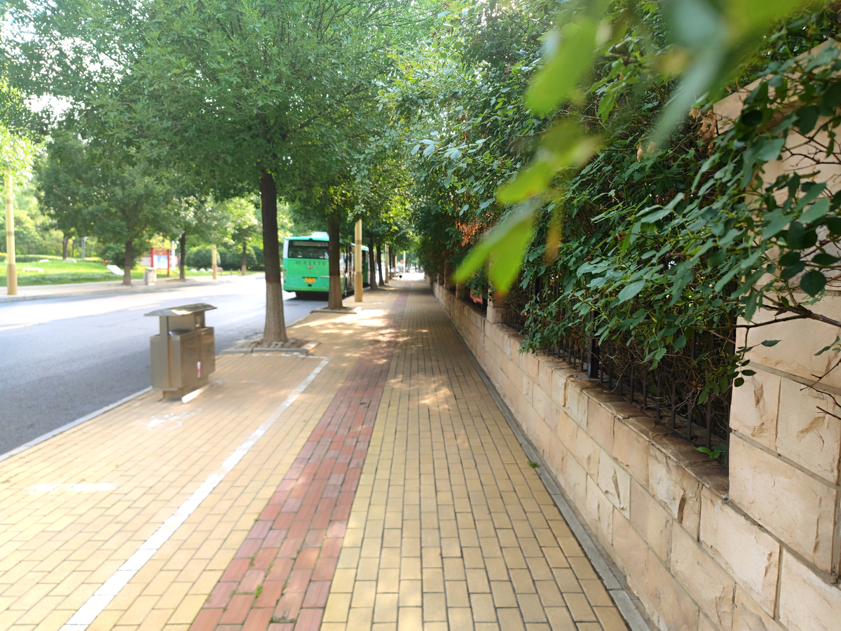区城市管理局绣花功夫 打造有“里”有“面”宜居城市环境