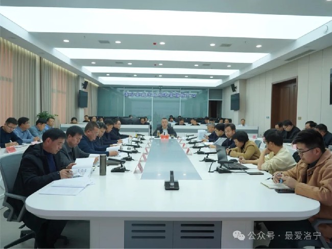 洛宁县集中连片推进乡村振兴规划汇报会召开