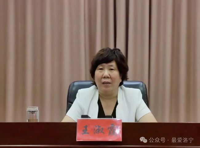 洛宁县召开上半年经济工作汇报会