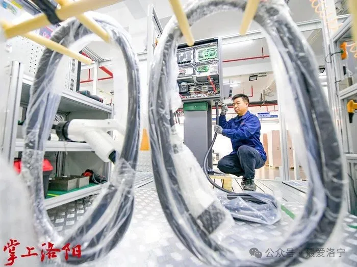 王瑞接受洛陽日報專訪