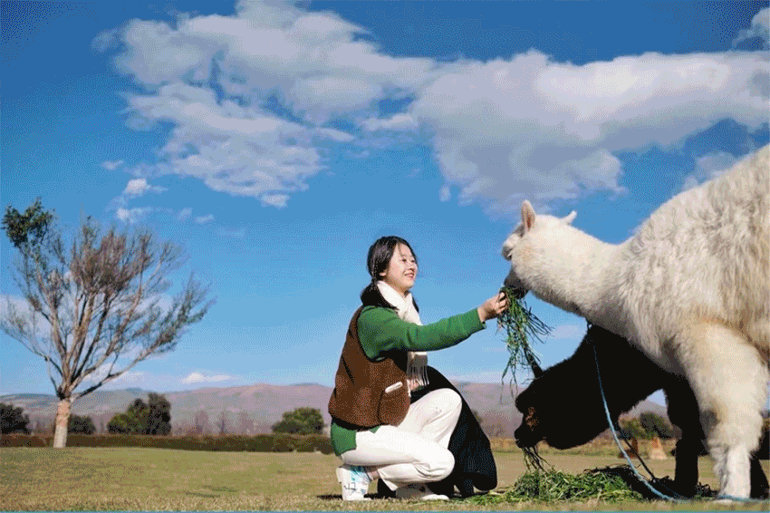 “近”享五一好时光，美丽华龙欢迎您！  五一假期那里去，多彩华龙在等您！