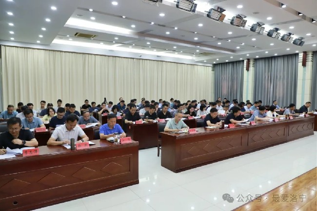 洛宁县召开上半年经济工作汇报会