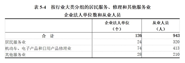 龙安区第五次全国经济普查公报（第五号）——第三产业基本情况之二