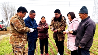 春光无限好 科技助春耕