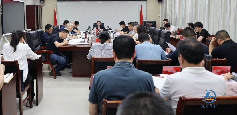 马村区召开区政府党组（扩大）会议暨常务会议