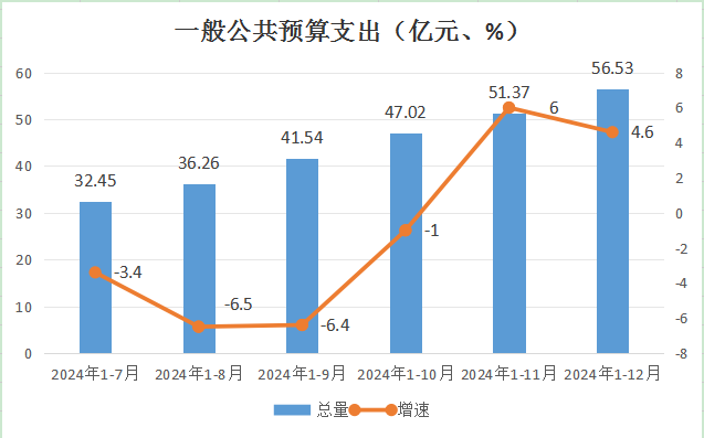 一般公共预算支出