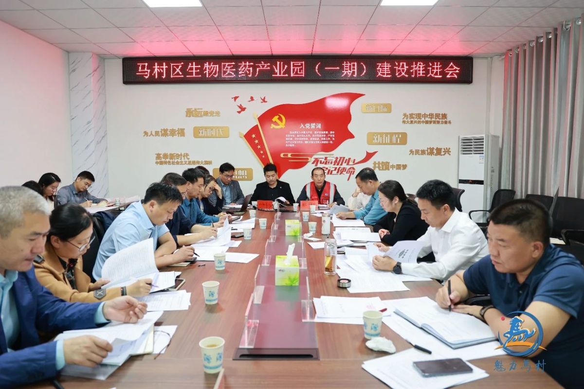 马村区召开生物医药产业园（一期）建设推进会！