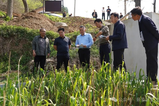 王瑞督导调研乡村污水处理厂（站）运行情况