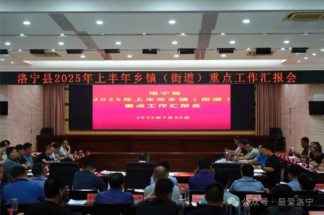 洛宁县召开2025年上半年乡镇（街道）重点工作汇报会