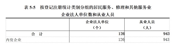 龙安区第五次全国经济普查公报（第五号）——第三产业基本情况之二