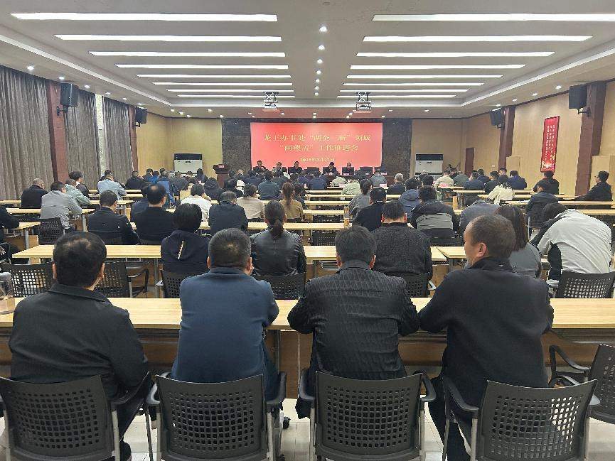 龙王办事处组织召开“两企三新”领域         “两个覆盖”工作推进会