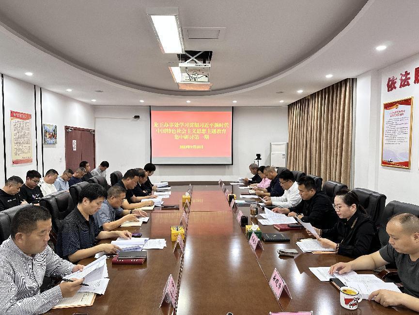 龙王办事处开展主题教育第一次集中学习研讨会